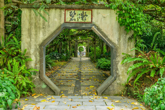 广西药用植物园