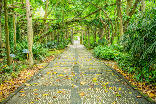 园林景观道路