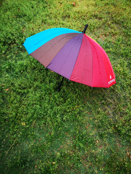 雨伞