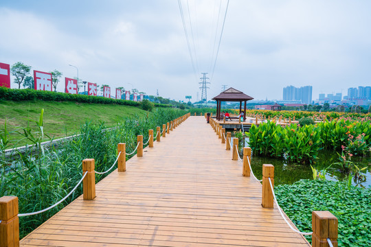 南宁那考河湿地公园污水治理工程