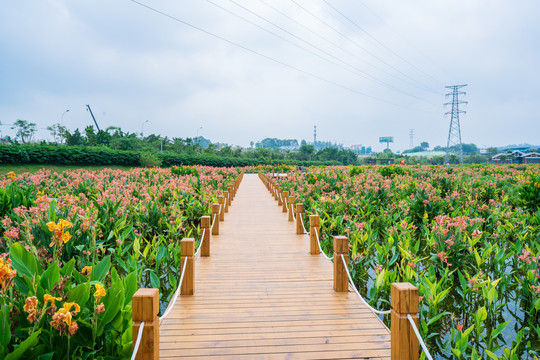 南宁那考河湿地公园木板路