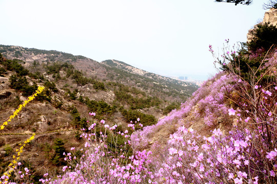 大珠山