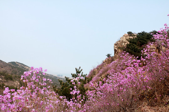 大珠山