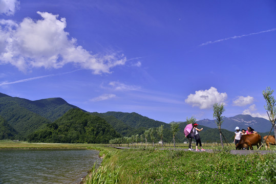 大九湖景色