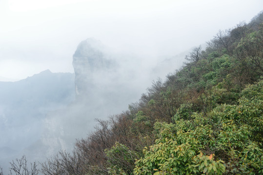 云雾中的张家界天门山鲲鹏顶