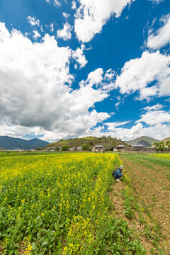 纳帕海依拉草原