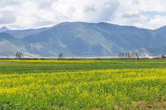 纳帕海依拉草原