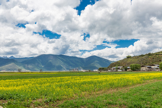 纳帕海依拉草原