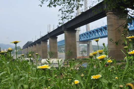 白沙沱铁路桥