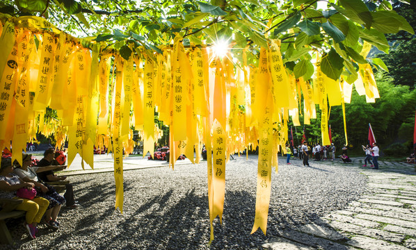 神农架风光