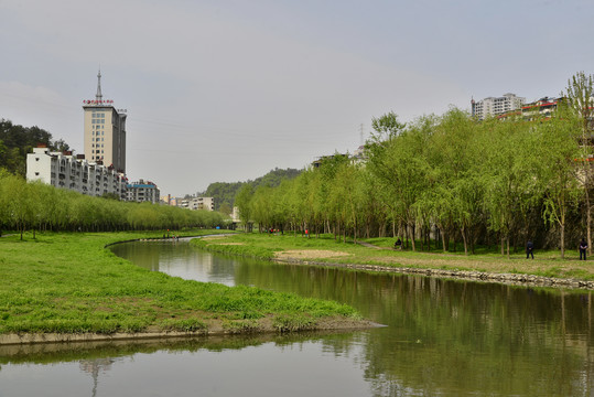 绿树成荫的张湾区夏家店河道