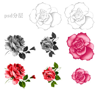 玫瑰psd分層