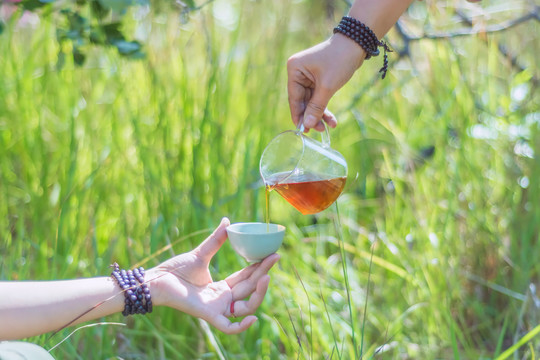 公共杯茶杯饮茶