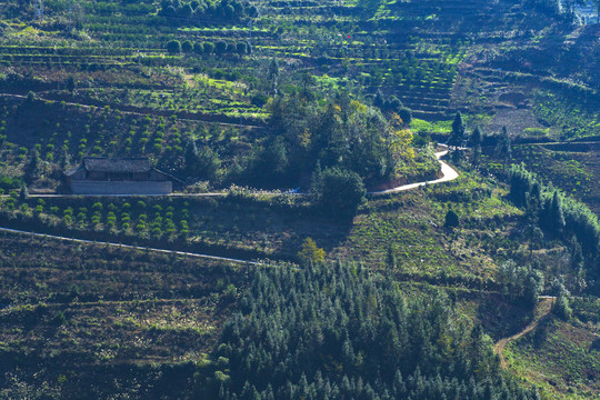 山区公路