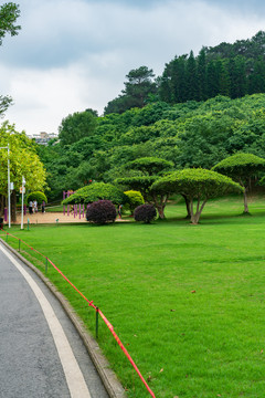 城市阳光草地草坪绿树林背景素材