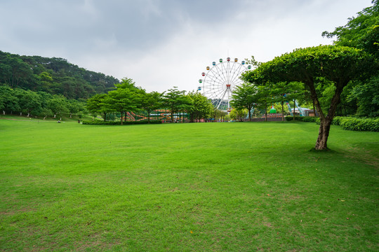 城市阳光草地草坪绿树林背景素材