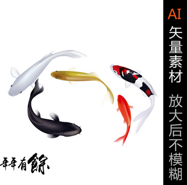 錦鯉魚(yú)