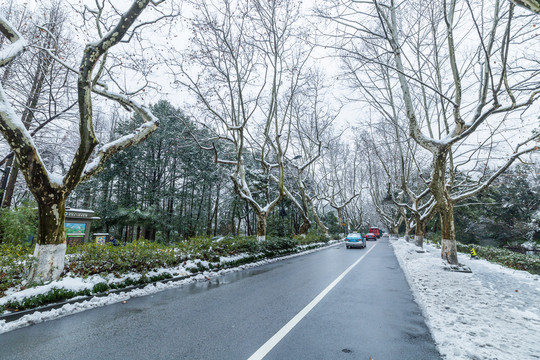 西湖雪景