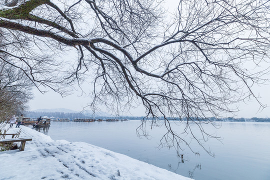 西湖雪景