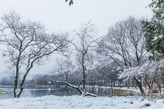 西湖雪景