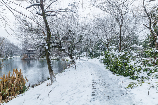 西湖雪景