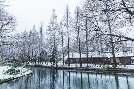 西湖雪景