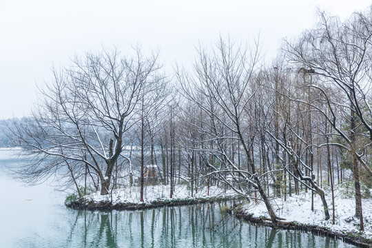 西湖雪景