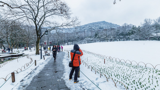 杭州雪景