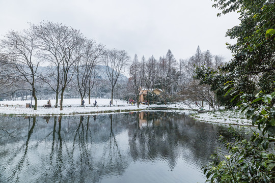 杭州雪景