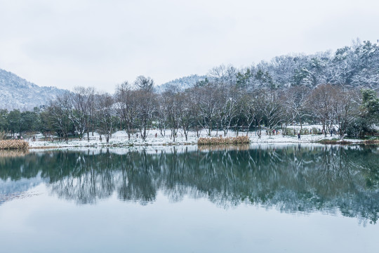 杭州雪景