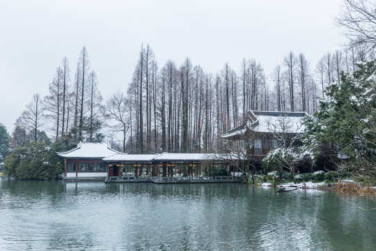 杭州雪景