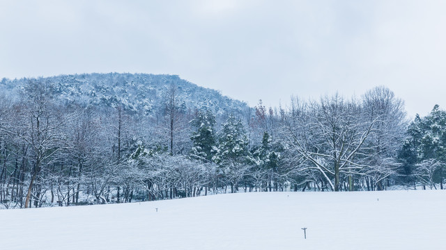 杭州雪景