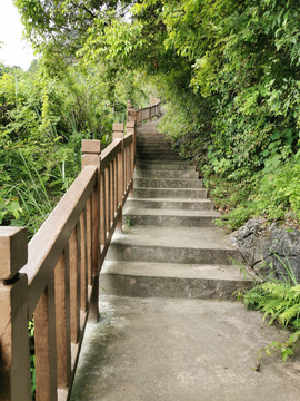 登山道