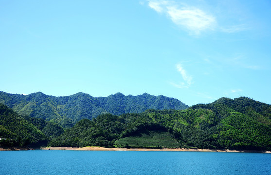 太平湖风光