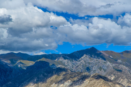 高山峡谷间的飞鹰