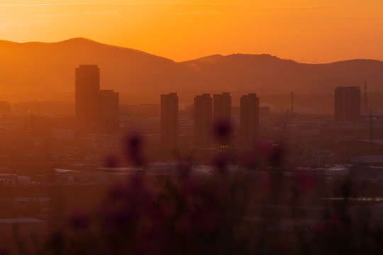 城市