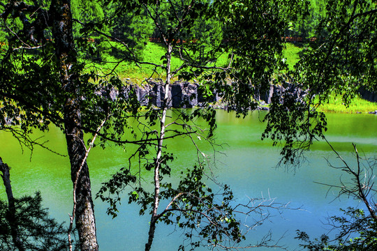 绿树湖水