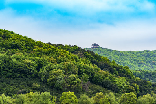 山景