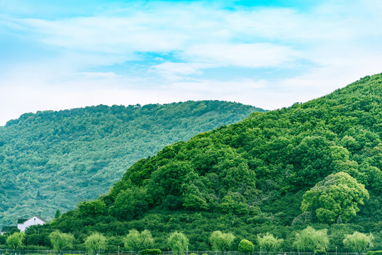 山景