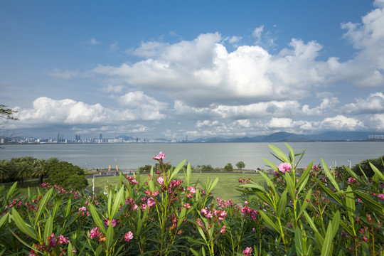 深圳湾公园