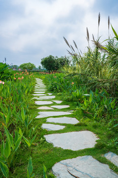 农村乡村田间小路石板路