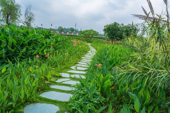 乡间石板路