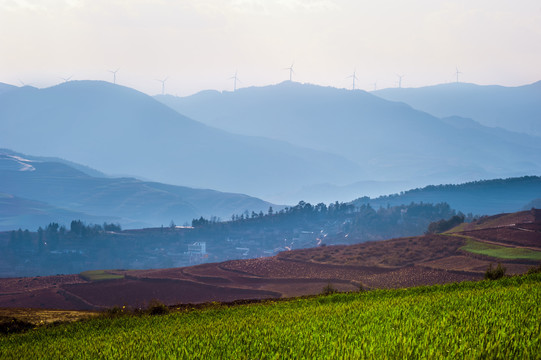 东川红土地