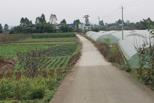 道路