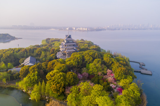 金鸡湖桃花岛