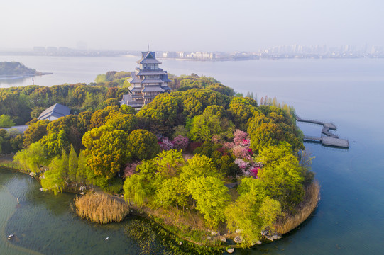 金鸡湖桃花岛