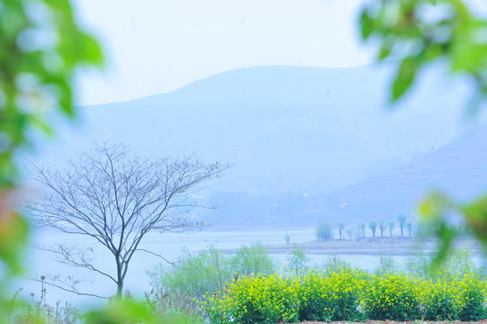 春天乡村风景