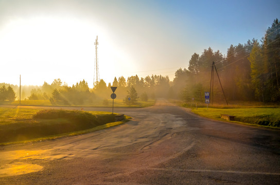 晨光中的乡间公路