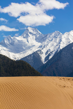 西藏丹娘沙丘沙漠雪山