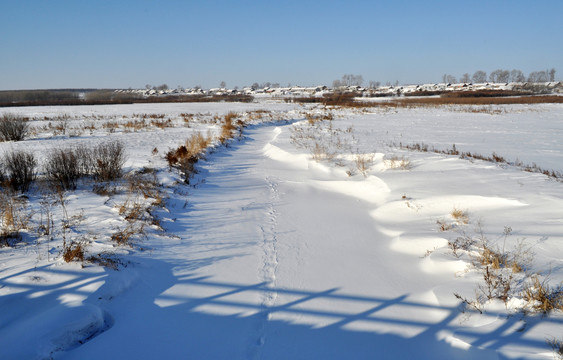 雪地